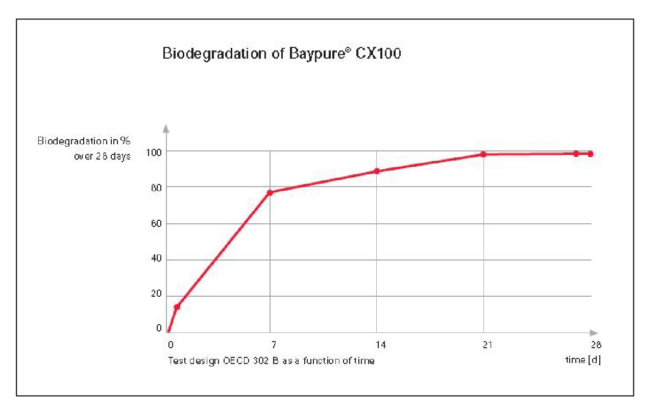 Baypure Blog Image 2-01